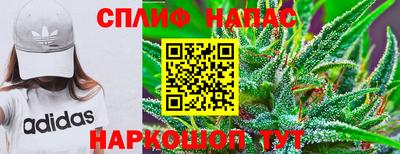 гашиш Кингисепп